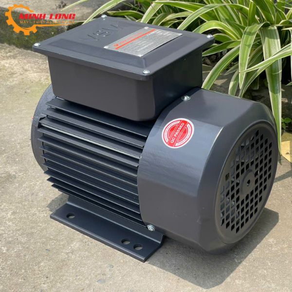 Động Cơ Điện Hồng Ký 3Kw220V PLA-VSM3.014